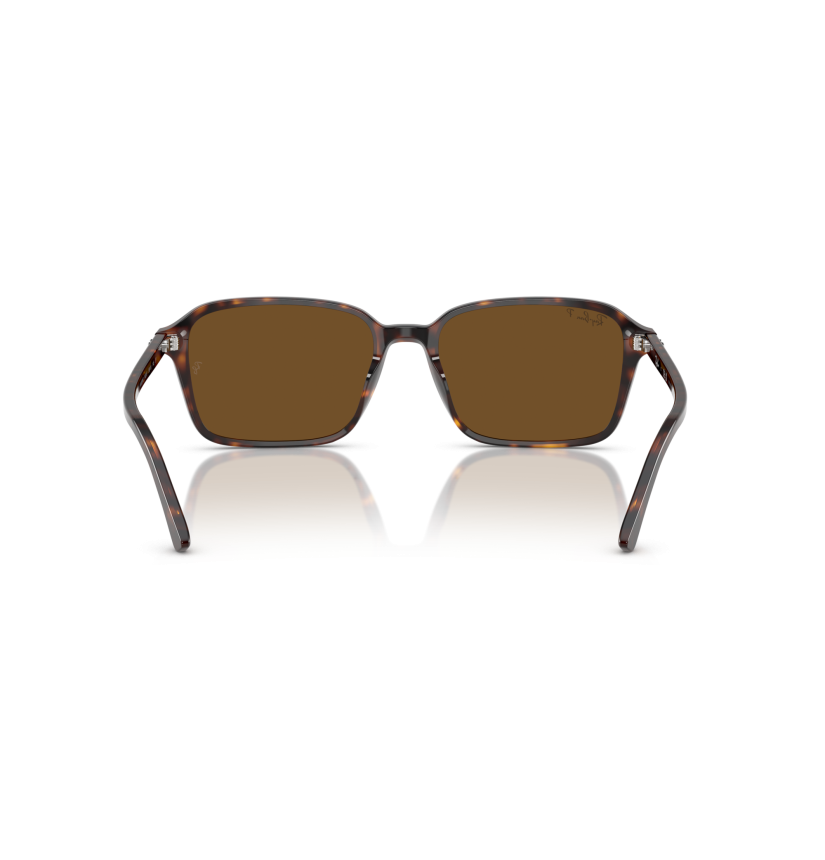 RAY-BAN - RAIMOND - RB2231 - 902/57 - 58