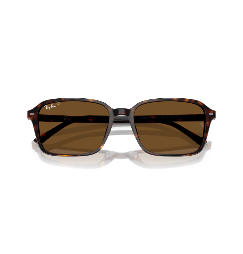 RAY-BAN - RAIMOND - RB2231 - 902/57 - 58