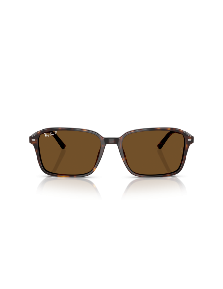 RAY-BAN - RAIMOND - RB2231 - 902/57 - 58
