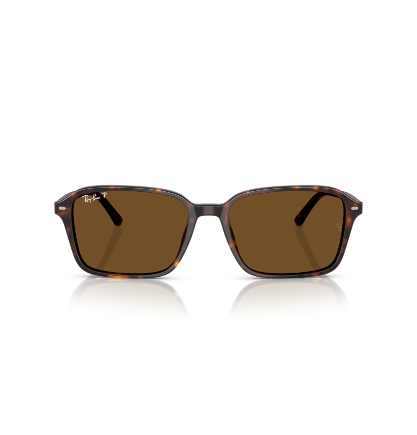 RAY-BAN - RAIMOND - RB2231 - 902/57 - 58