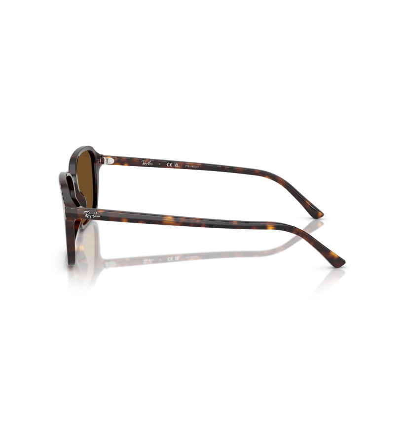 RAY-BAN - RAIMOND - RB2231 - 902/57 - 58