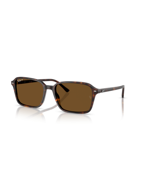 RAY-BAN - RAIMOND - RB2231 - 902/57 - 58