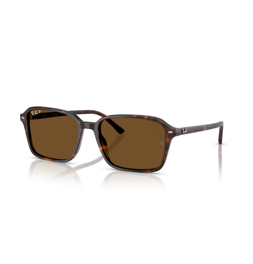 RAY-BAN - RAIMOND - RB2231 - 902/57 - 58