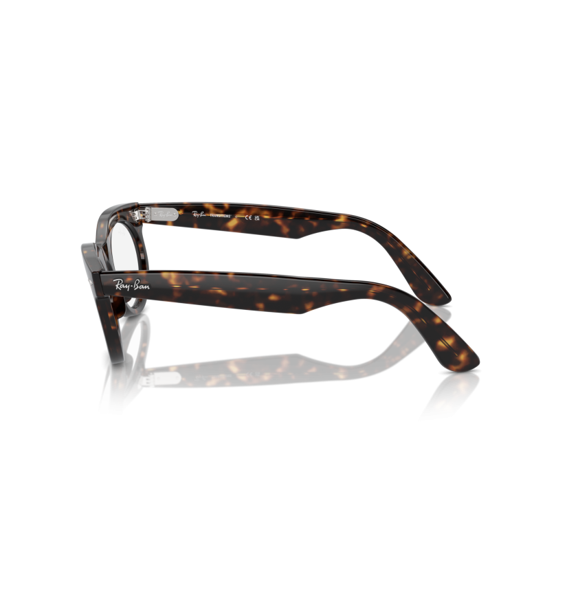RAY-BAN - WAYFARER OVAL - RB2242 - 902/GI - 53