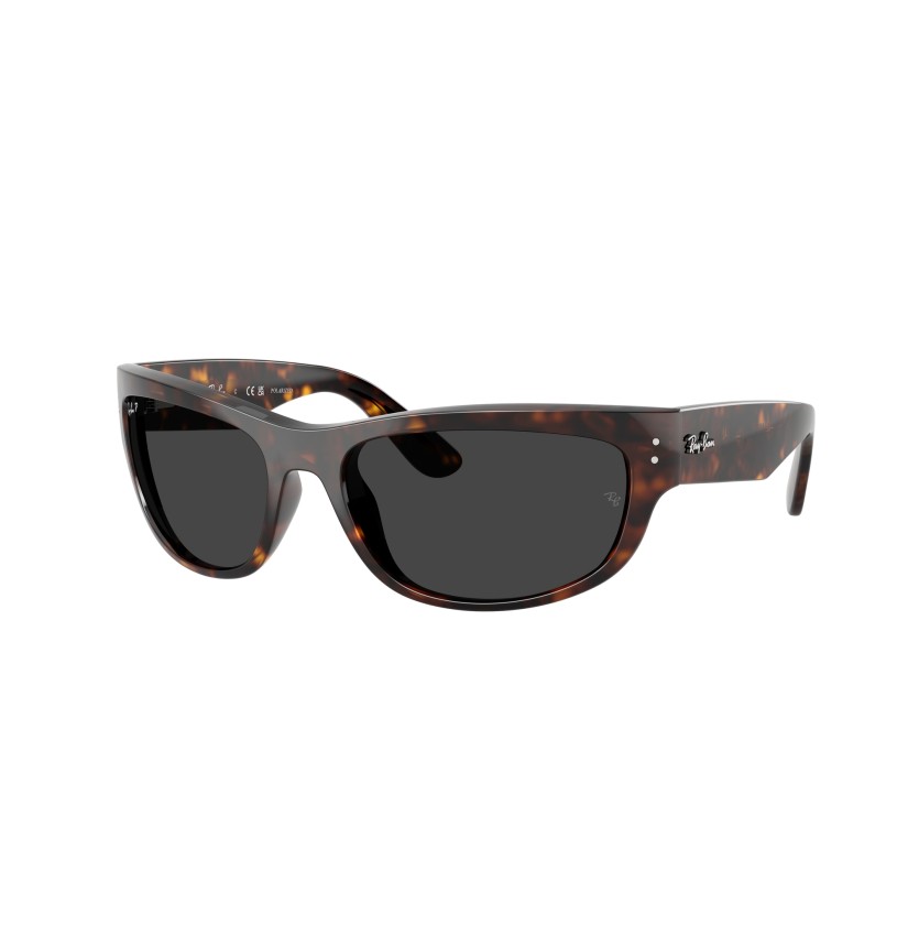 RAY-BAN - MEGA BALORAMA - RB2289 - 902/48 - 63