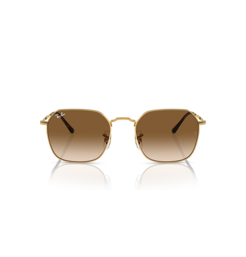 RAY-BAN - JIM - RB3694 - 001/51 - 55
