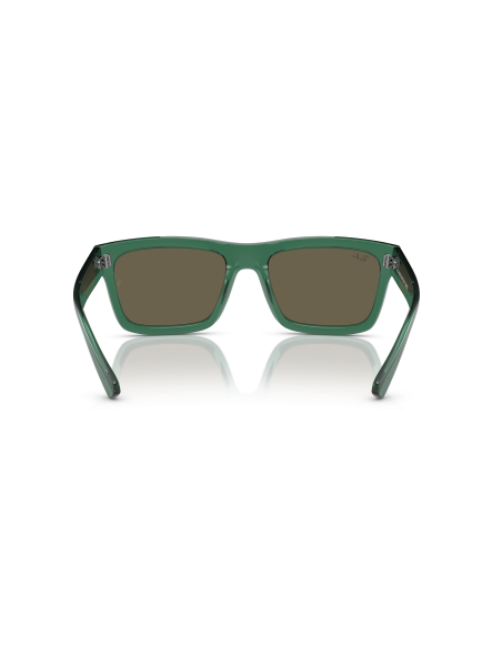 RAY-BAN - WARREN - RB4396 - 6681/3 - 57