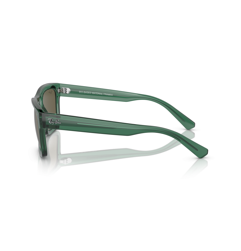 RAY-BAN - WARREN - RB4396 - 6681/3 - 57