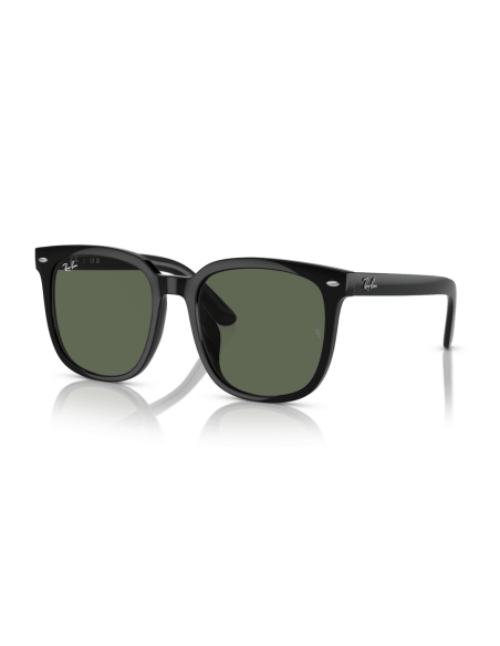 RAY-BAN - RB4401D - 601/71 - 55