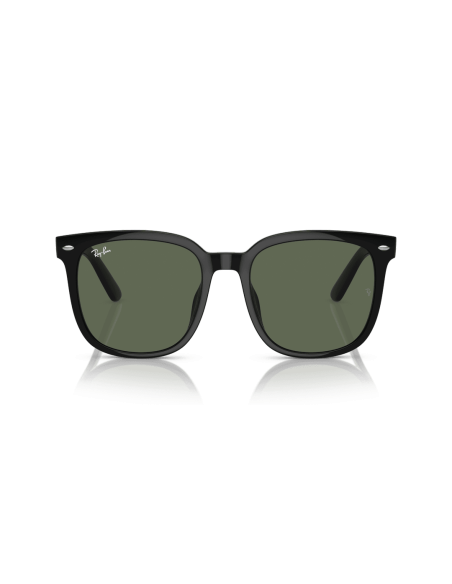 RAY-BAN - RB4401D - 601/71 - 55