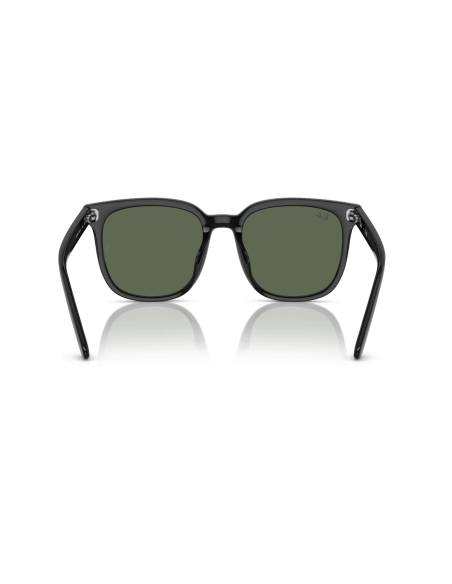 RAY-BAN - RB4401D - 601/71 - 55