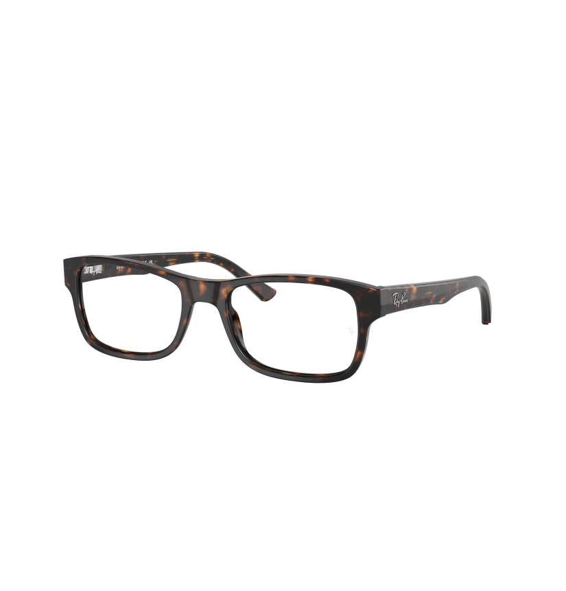 RAY-BAN - RX5268 - 2012 - 55