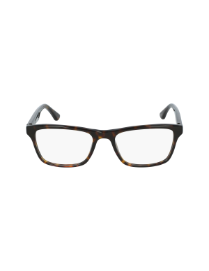 RAY-BAN - RX5279 - 2012 - 55