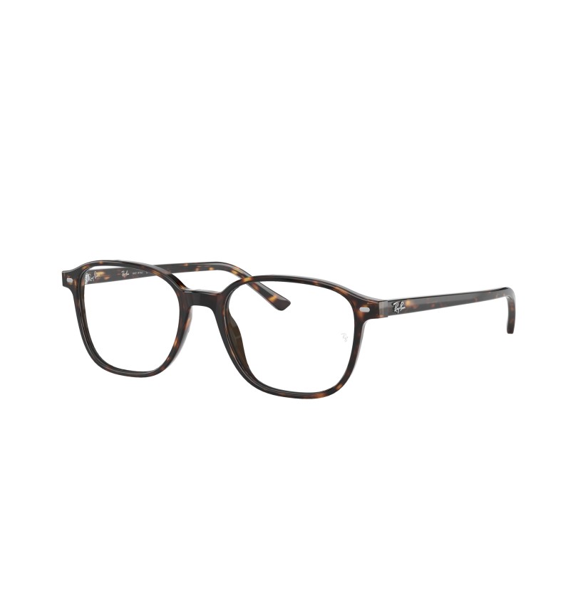 RAY-BAN - LEONARD - RX5393 - 2012 - 51