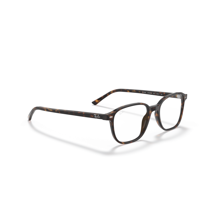 RAY-BAN - LEONARD - RX5393 - 2012 - 51