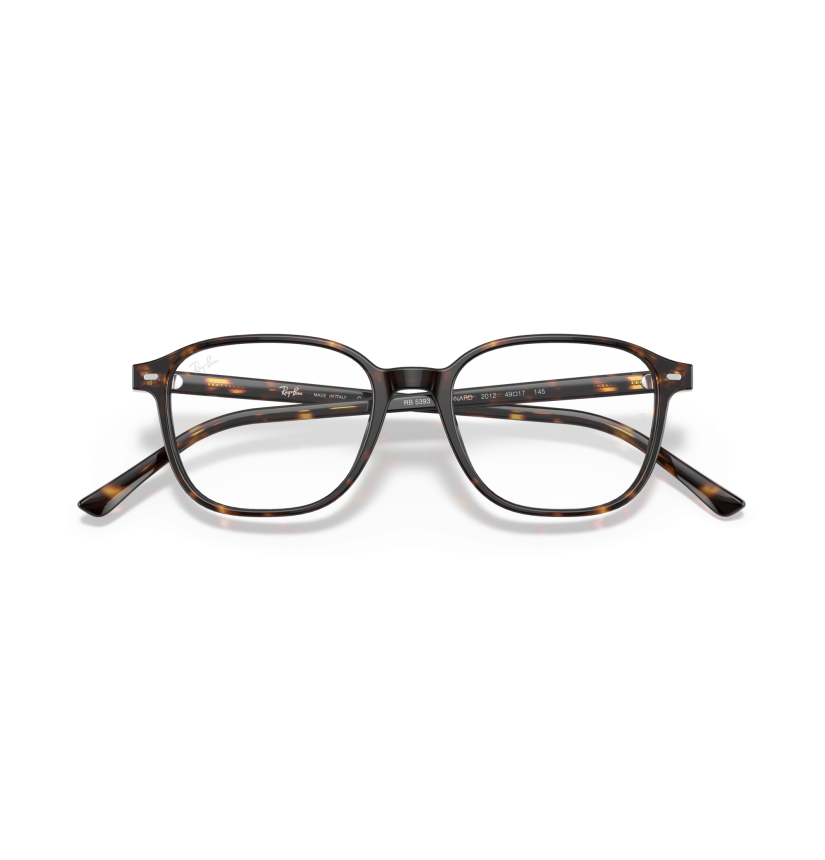 RAY-BAN - LEONARD - RX5393 - 2012 - 51
