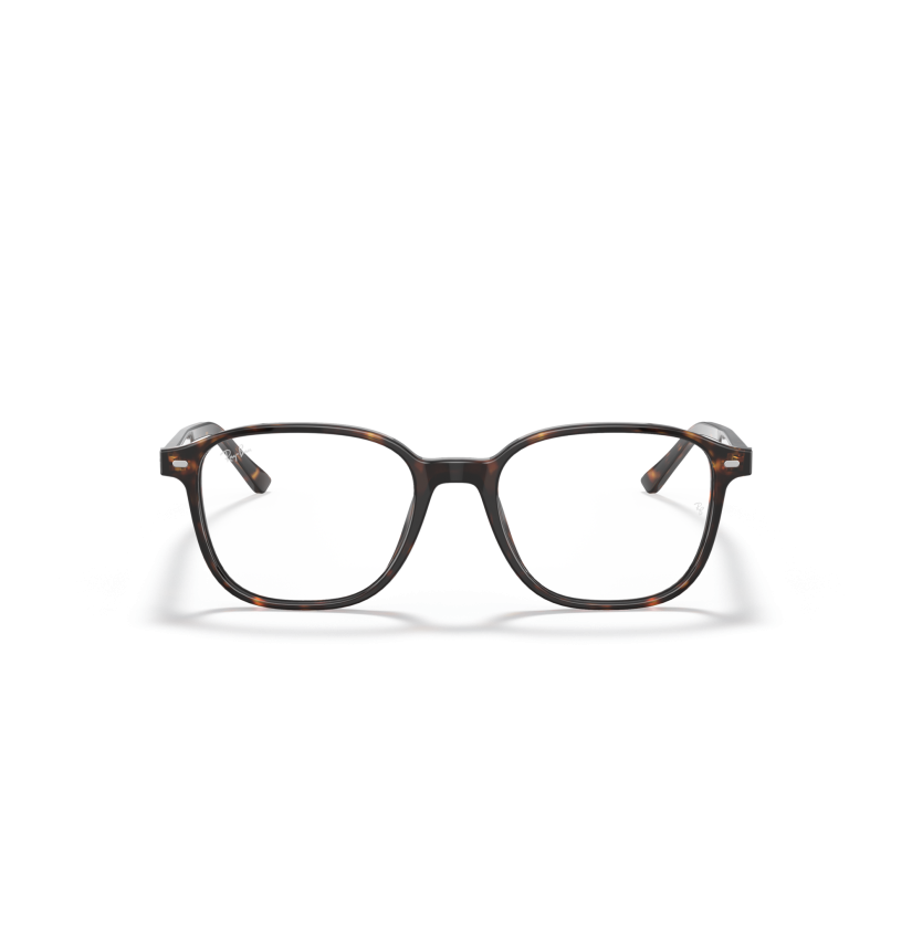 RAY-BAN - LEONARD - RX5393 - 2012 - 51