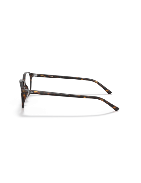 RAY-BAN - LEONARD - RX5393 - 2012 - 51