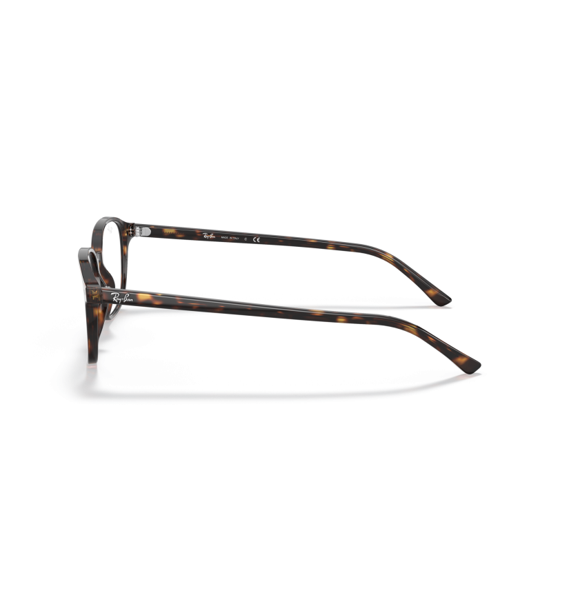 RAY-BAN - LEONARD - RX5393 - 2012 - 51
