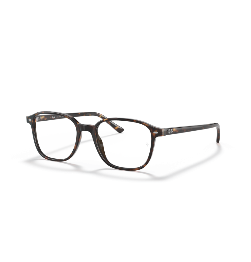 RAY-BAN - LEONARD - RX5393 - 2012 - 51