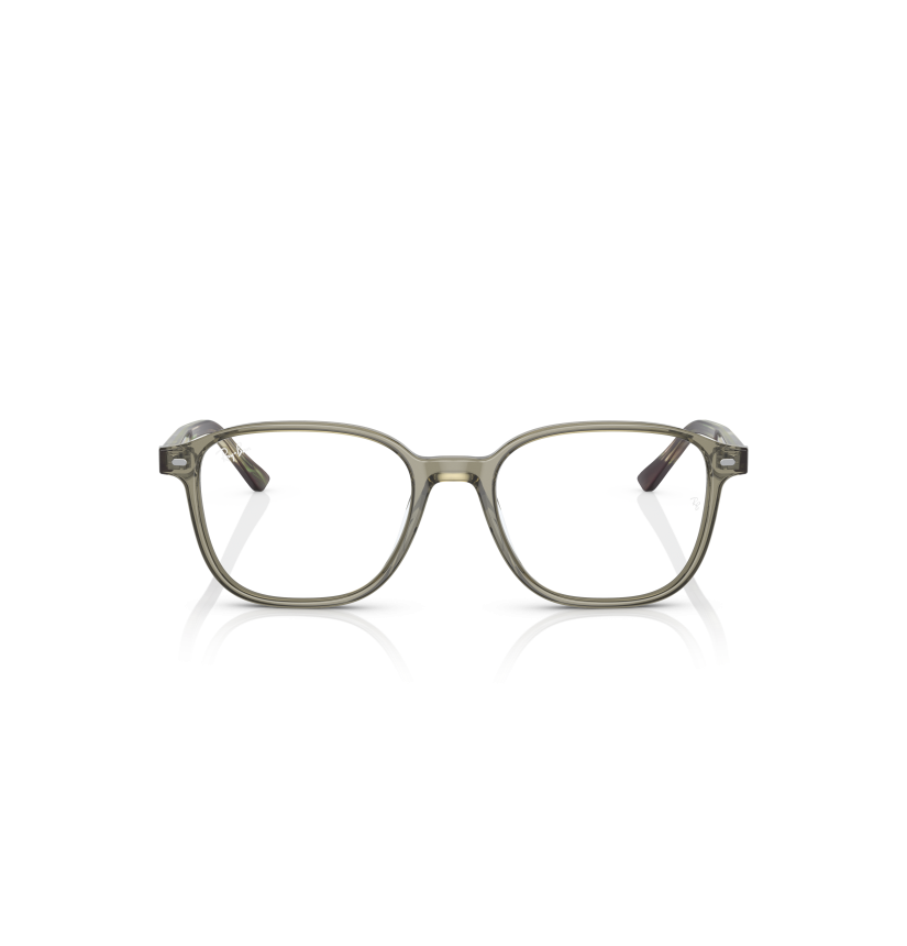 RAY-BAN - LEONARD - RX5393 - 8178 - 51