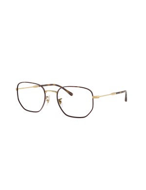 RAY-BAN - RX6496 - 3177 - 53