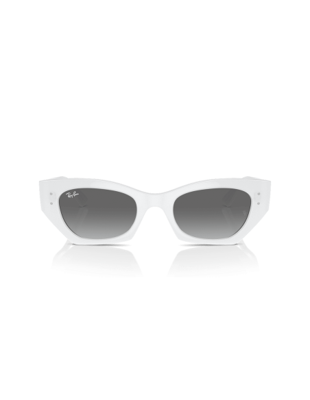 0RB4430__675911__P21__shad__fr