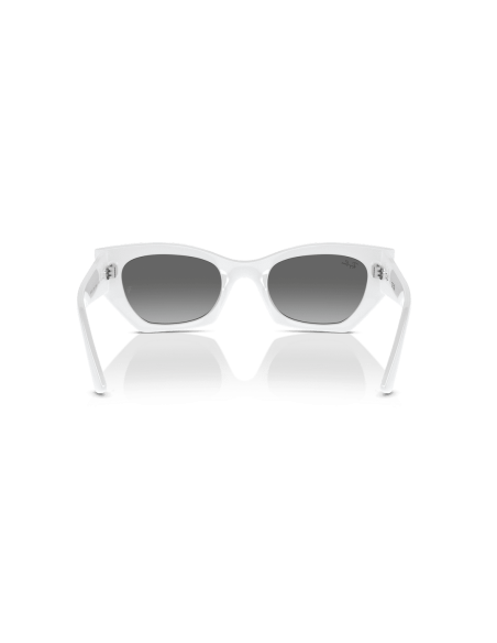 0RB4430__675911__P21__shad__bk