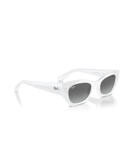 0RB4430__675911__P21__shad__al2