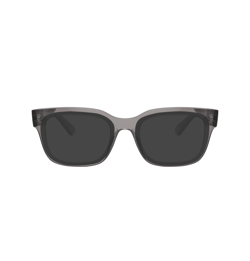RAY-BAN  - CHAD - RX7217 - 8263 - 54