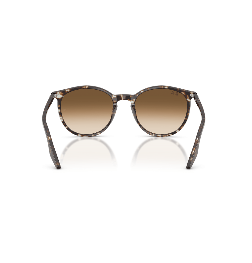 RAY-BAN - RB2204 - 143151 - 54
