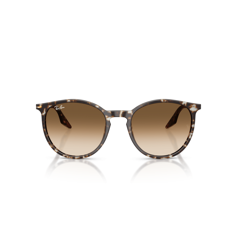 RAY-BAN - RB2204 - 143151 - 54