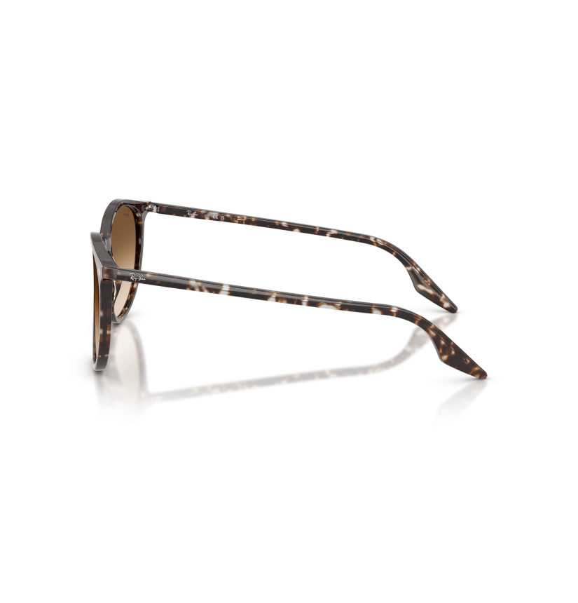 RAY-BAN - RB2204 - 143151 - 54