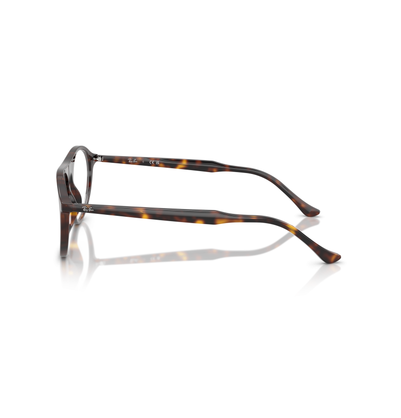 RAY-BAN  - RX5441 - 2012 - 53