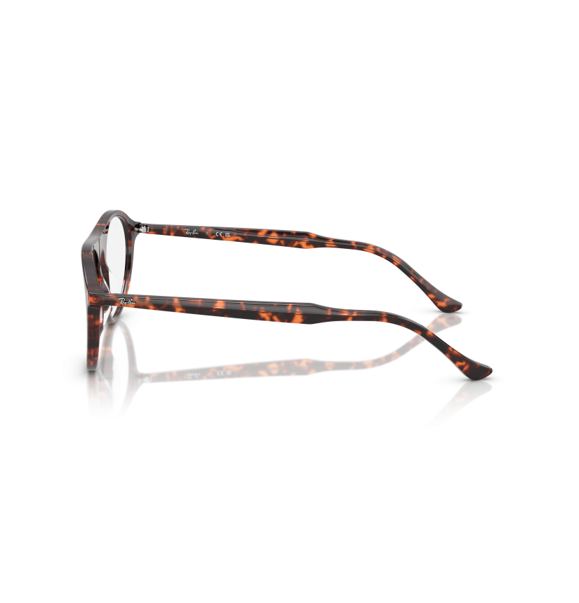 RAY-BAN  - RX5441 - 8423 - 53