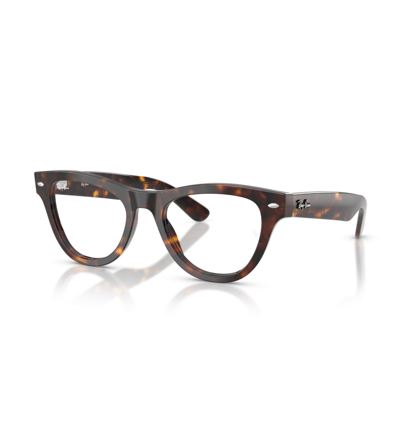 RAY-BAN  - RX5510 - 2012 - 52