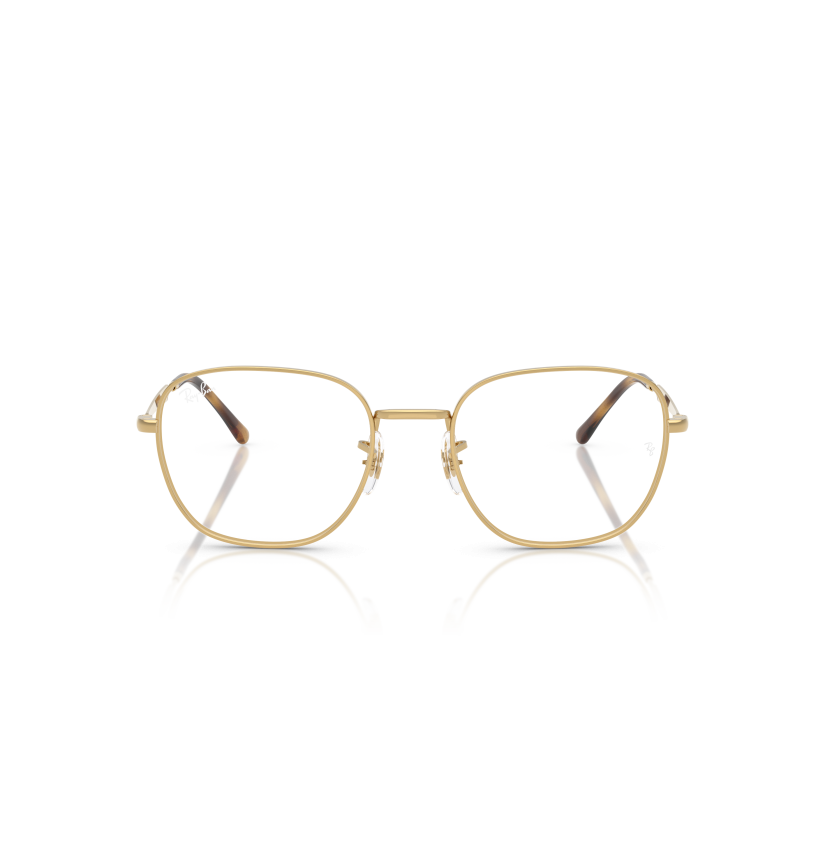 RAY-BAN VISTA - RX6534 - 2500 - 53