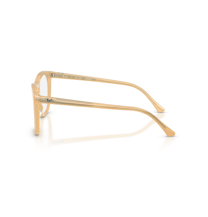 RAY-BAN  - RX2210V - 8383 - 53