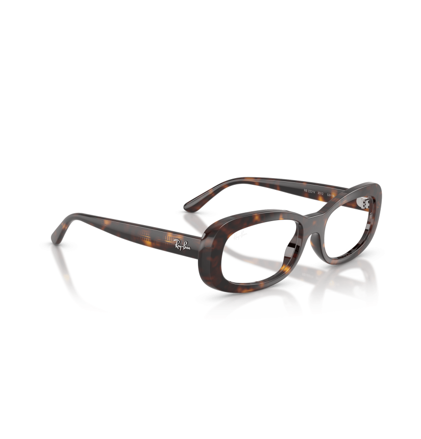 RAY-BAN  - RX2221V - 2012 - 53
