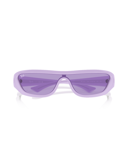 0RB4431__67581A__P21__shad__cfr