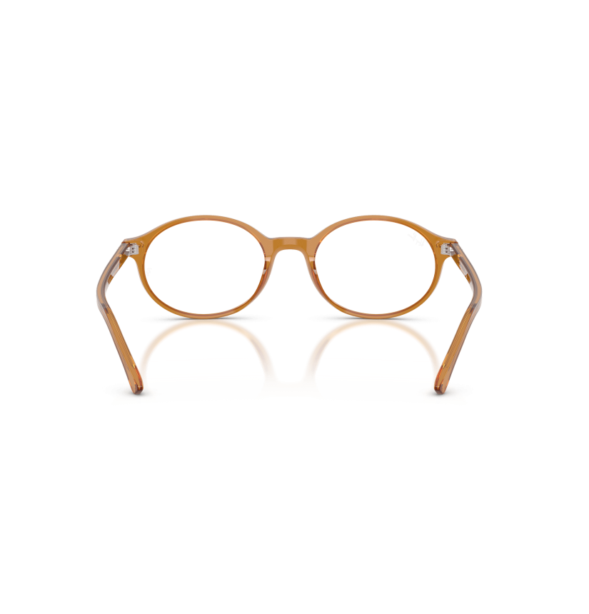 RAY-BAN  - GERMAN - RX5429 - 8439 - 53