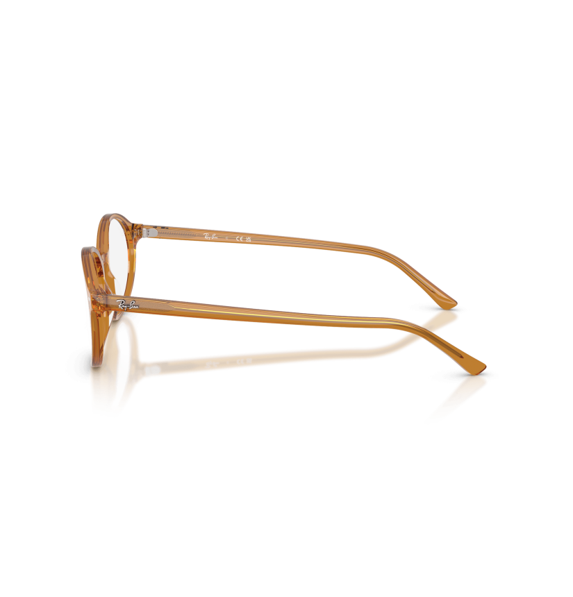RAY-BAN  - GERMAN - RX5429 - 8439 - 53