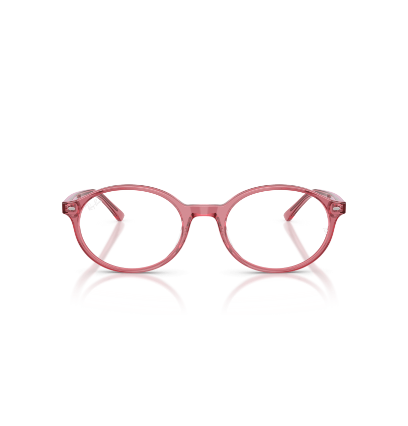 RAY-BAN  - GERMAN - RX5429 - 8440 - 53