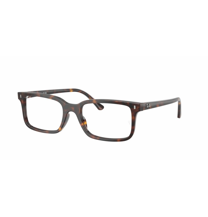 RAY-BAN VISTA - RX5445 - 2012 - 54