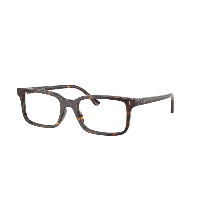 RAY-BAN VISTA - RX5445 - 2012 - 54