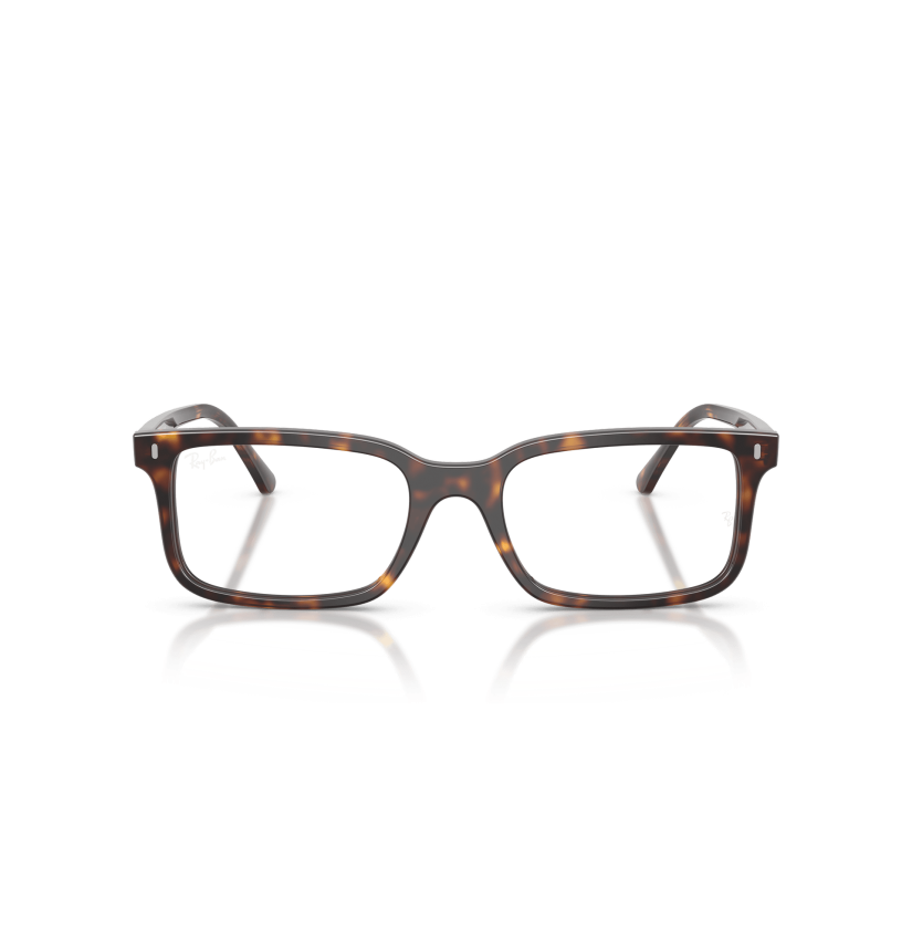 RAY-BAN VISTA - RX5445 - 2012 - 54