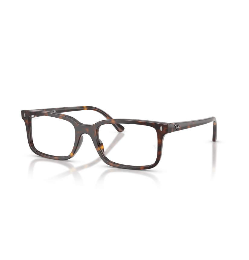 RAY-BAN VISTA - RX5445 - 2012 - 54