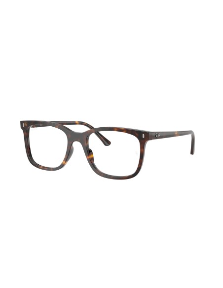 RAY-BAN  - RX5446 - 2012 - 53