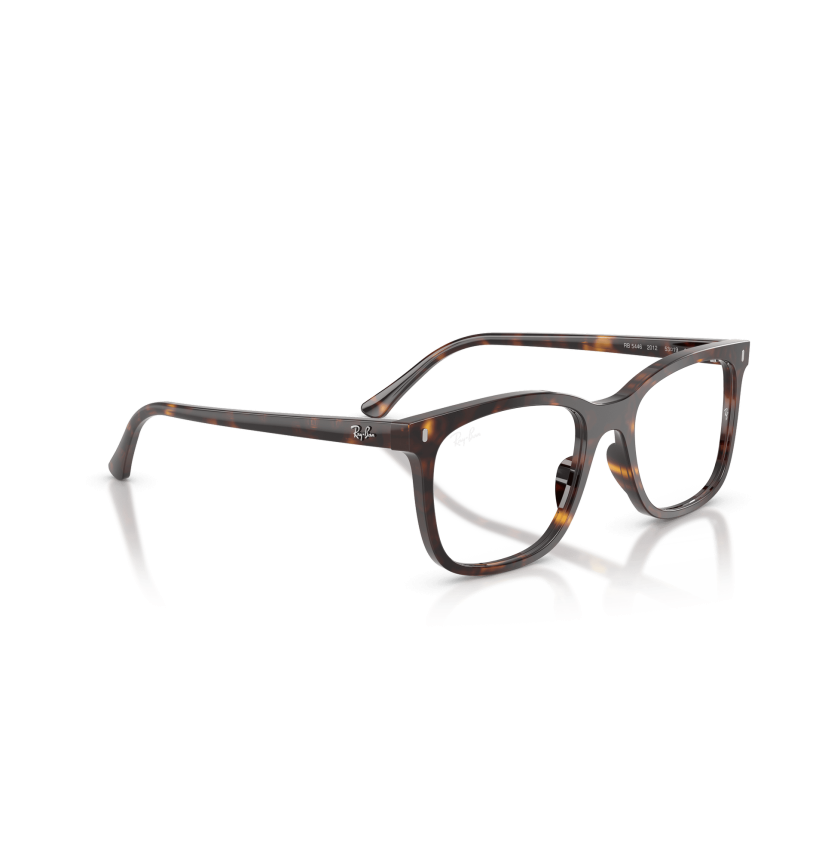 RAY-BAN  - RX5446 - 2012 - 53