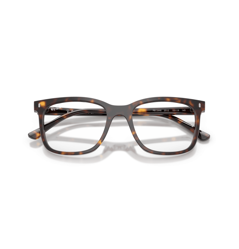 RAY-BAN  - RX5446 - 2012 - 53